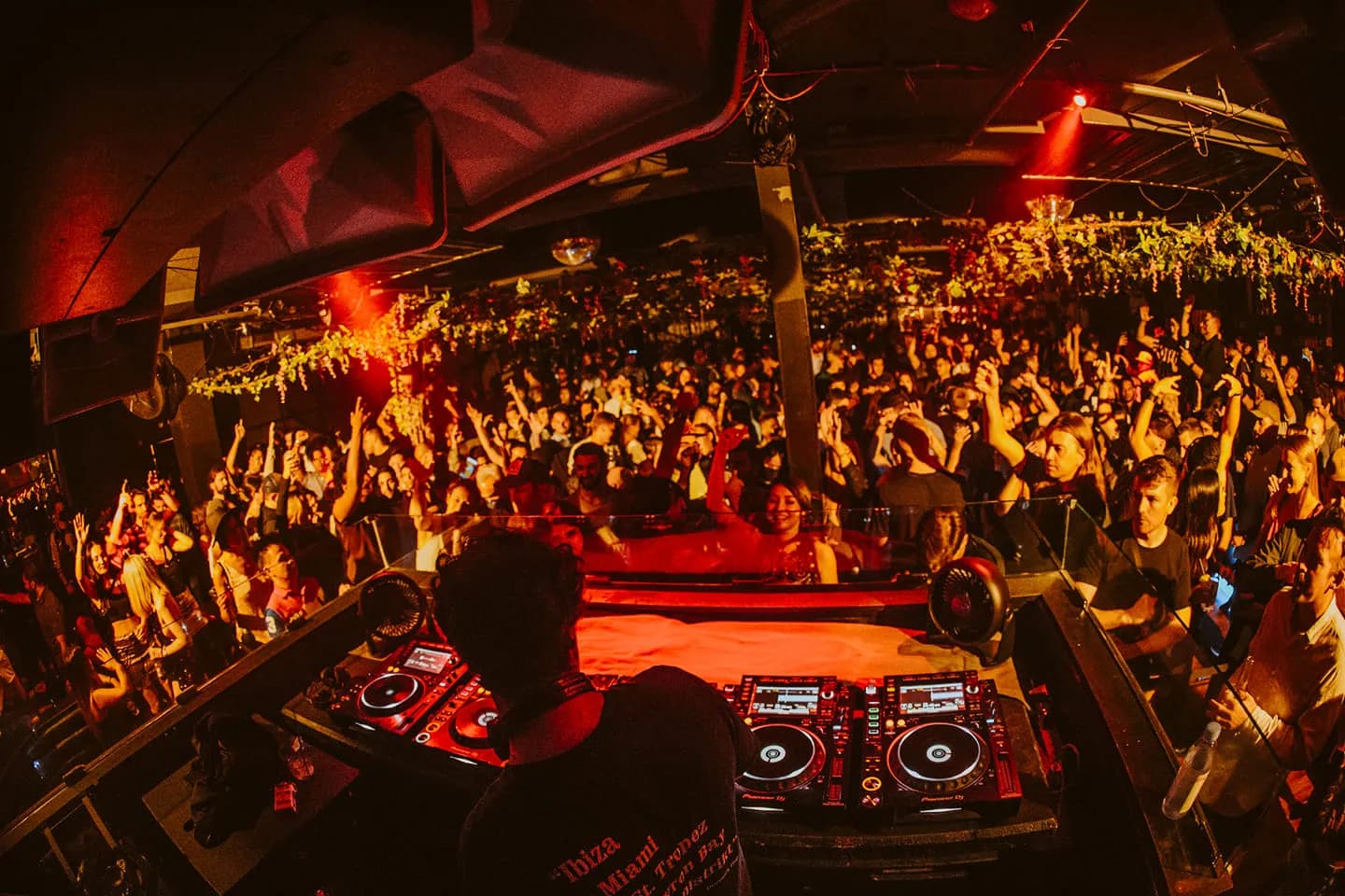 Sibley with orange-red lighting